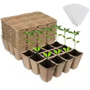 Biodegradable Pots (10)